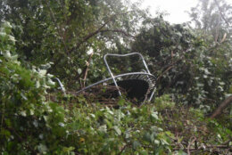 <p>A trampoline was picked up and moved by the fierce storm. (WTOP/Dave Dildine)</p>
