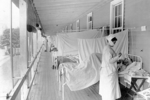 Life after the 1918 flu has lessons for our post-pandemic world
