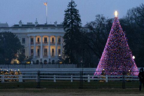 What to know about the 2021 National Christmas Tree Lighting
