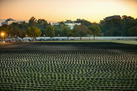 Empty chairs sit on Ellipse near White House in remembrance of those who died of COVID-19