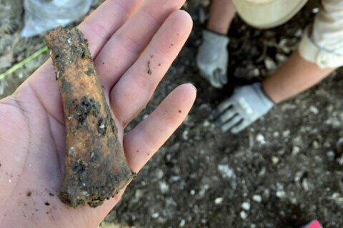 300-year-old slave quarters found in St. Mary’s Co.