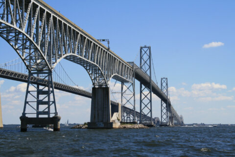 Conservation group study questions need for extra bay bridge span