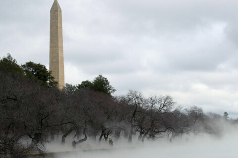 Washington Monument closes due to COVID-19 exposure among staff