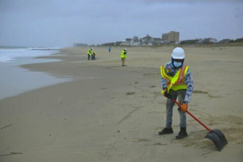 Cleanup from oil spill of unknown source continues along Delaware shore