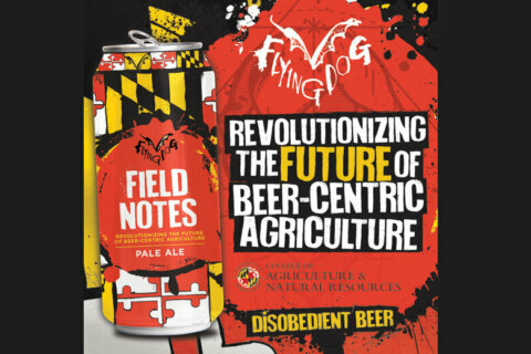 Latest Flying Dog beer is made with University of Maryland hops