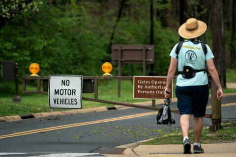 National Park Service plans to reopen Beach Drive to cars in September