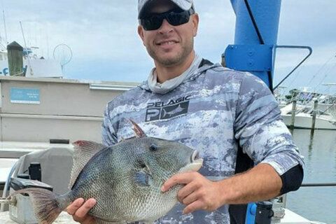 Trigger discipline: Maryland has new gray triggerfish record holder