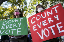 Demonstrators attend a rally to support all votes being counted one day after Election Day, Wednesday, Nov. 4, 2020, in Washington. (AP Photo/John Minchillo)