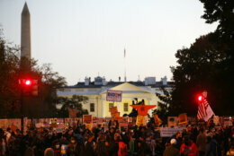 dc white house protest