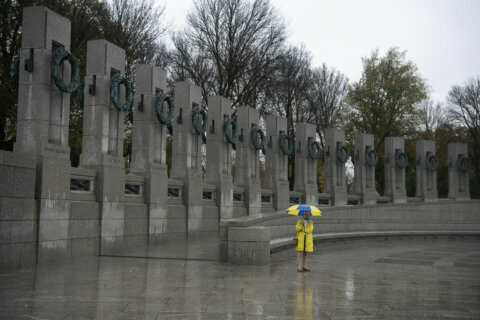 DC-area residents show up to honor veterans despite dreary weather