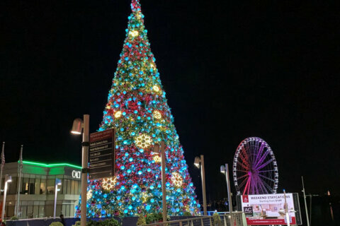 Holiday tree lighting at National Harbor brings seasonal sparkle to a tough year