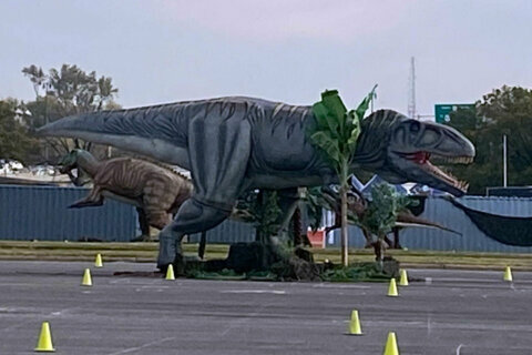 Jurassic Quest brings dinosaurs to RFK Stadium