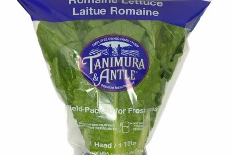 Voluntary romaine lettuce recall due to possible E. coli contamination