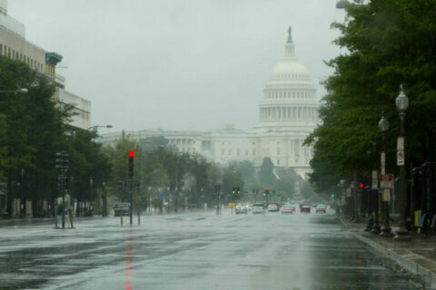 Rain here to stay for DC region’s New Year’s Day