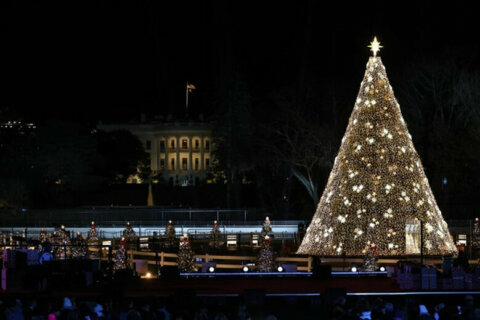 National Christmas Tree Lighting lives on virtually this year