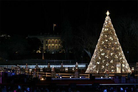 National Christmas Tree lighting to be recorded for online streaming