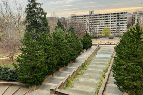 Lower level of DC’s Meridian Hill/Malcolm X Park to close for more than a year for makeover