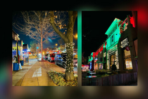 Woodley Park businesses light up for the holidays