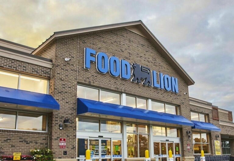 Remodeled Food Lion stores add 2,300 jobs in Mid-Atlantic | WTOP