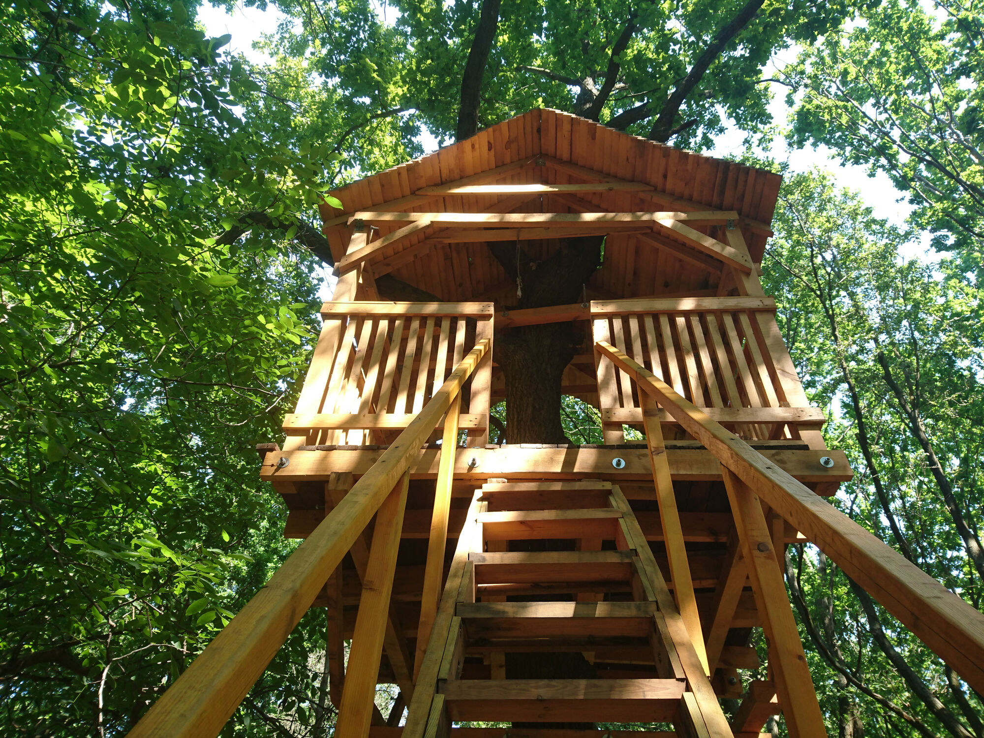 Fairfax County teacher renovates treehouse for virtual classroom WTOP