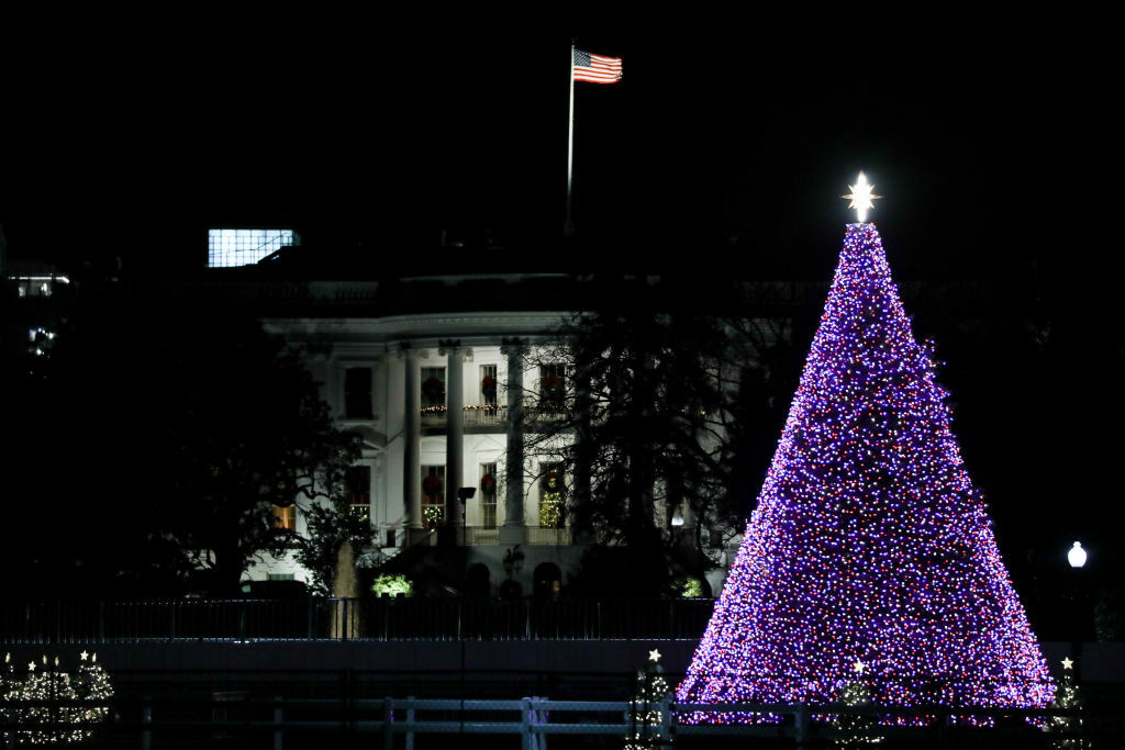 <p><strong>National Christmas Tree</strong></p>
<p><em>The Ellipse; 15th St. NW and E St. NW; Washington, D.C.</em></p>
<p>The America Celebrates site is free and open to the public through Jan. 1. from 10 a.m. to 10 p.m. Sunday through Thursday, and 10 a.m. to 11 p.m. Friday and Saturday.</p>
<p>The <a href="https://thenationaltree.org/" target="_blank" rel="noopener">tree lights</a> are turned on around sunset and turn off at 10 p.m. Sunday to Thursday and 11 p.m. Saturday and Sunday.</p>
