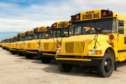 Virginia awards $10M to electrify local school bus fleets