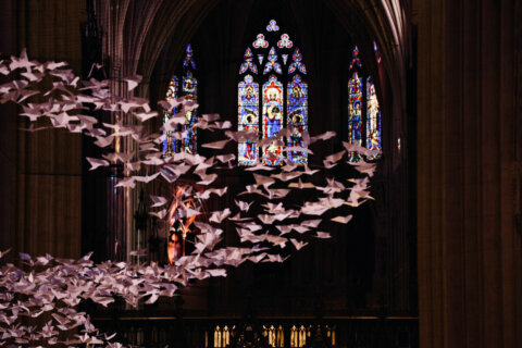 Art installation featuring origami doves visits Washington National Cathedral