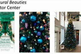 <p>Hillwood presents a &#8220;Natural Beauties&#8221; themed Christmas tree. (Courtesy Hillwood)</p>
