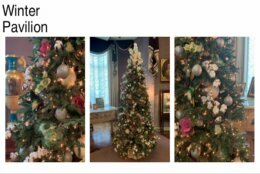 <p>Hillwood presents a winter-themed Christmas tree. (Courtesy Hillwood)</p>
