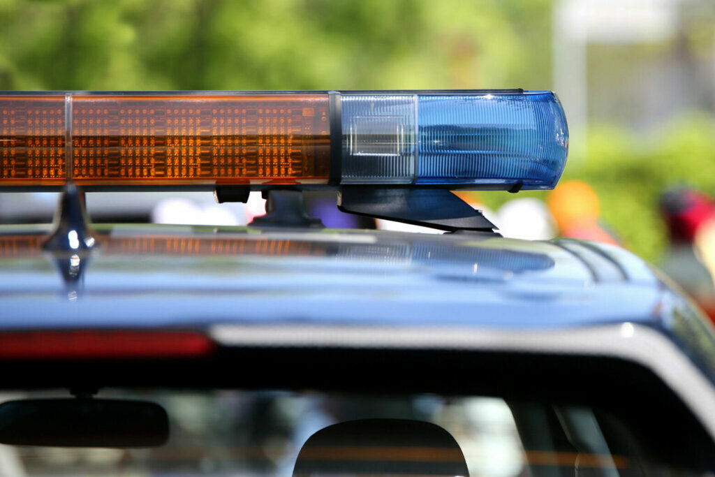Gun threats, handguns and an alligator: Waldorf landlord held without bond