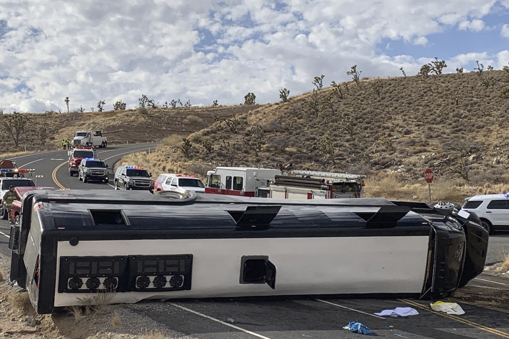 arizona-sheriff-s-office-investigating-fatal-tour-bus-crash-wtop-news