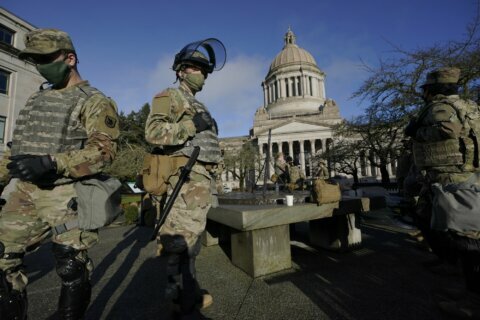 Heavily fortified statehouses around US see small protests