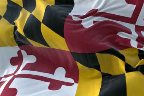 Maryland Day highlights state history, as search for missing stories continues