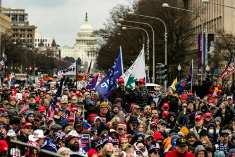 Pro-Trump protesters rally in DC ahead of Electoral College vote count
