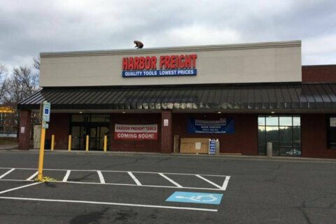 Harbor Freight Tools opens 5th Northern Virginia location