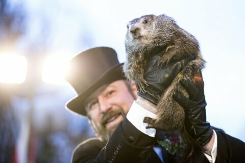 A groundhog forecast: More winter or early spring?