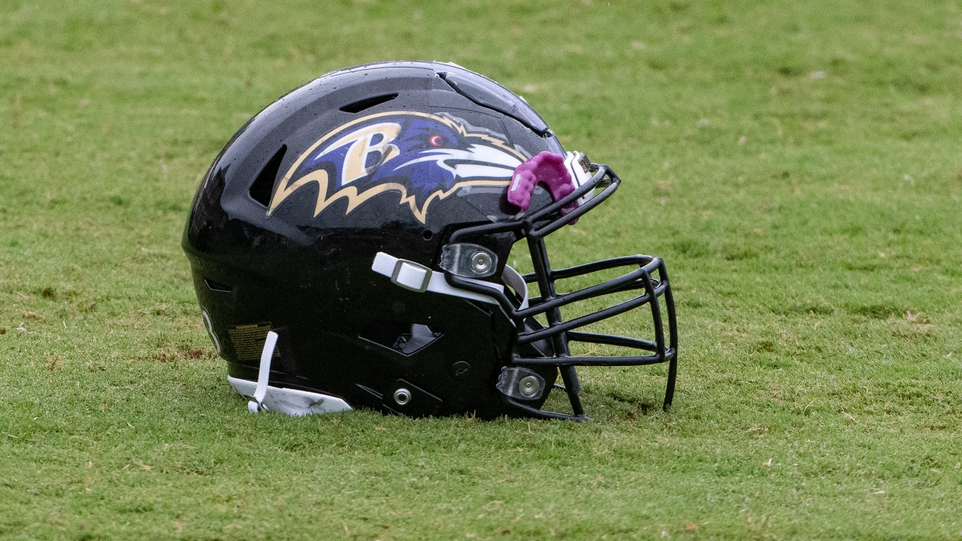 Baltimore Ravens hire Rob Ryan, Anthony Weaver to fill out defensive staff:  reports 