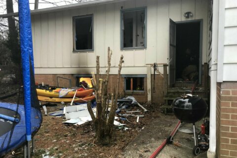 Fire crews rescue dogs, boa constrictor from Silver Spring house fire