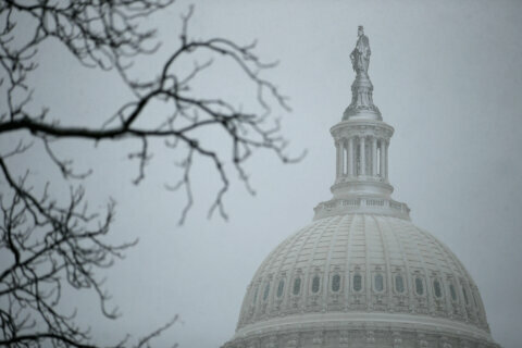 Storms, strong winds sweep DC region