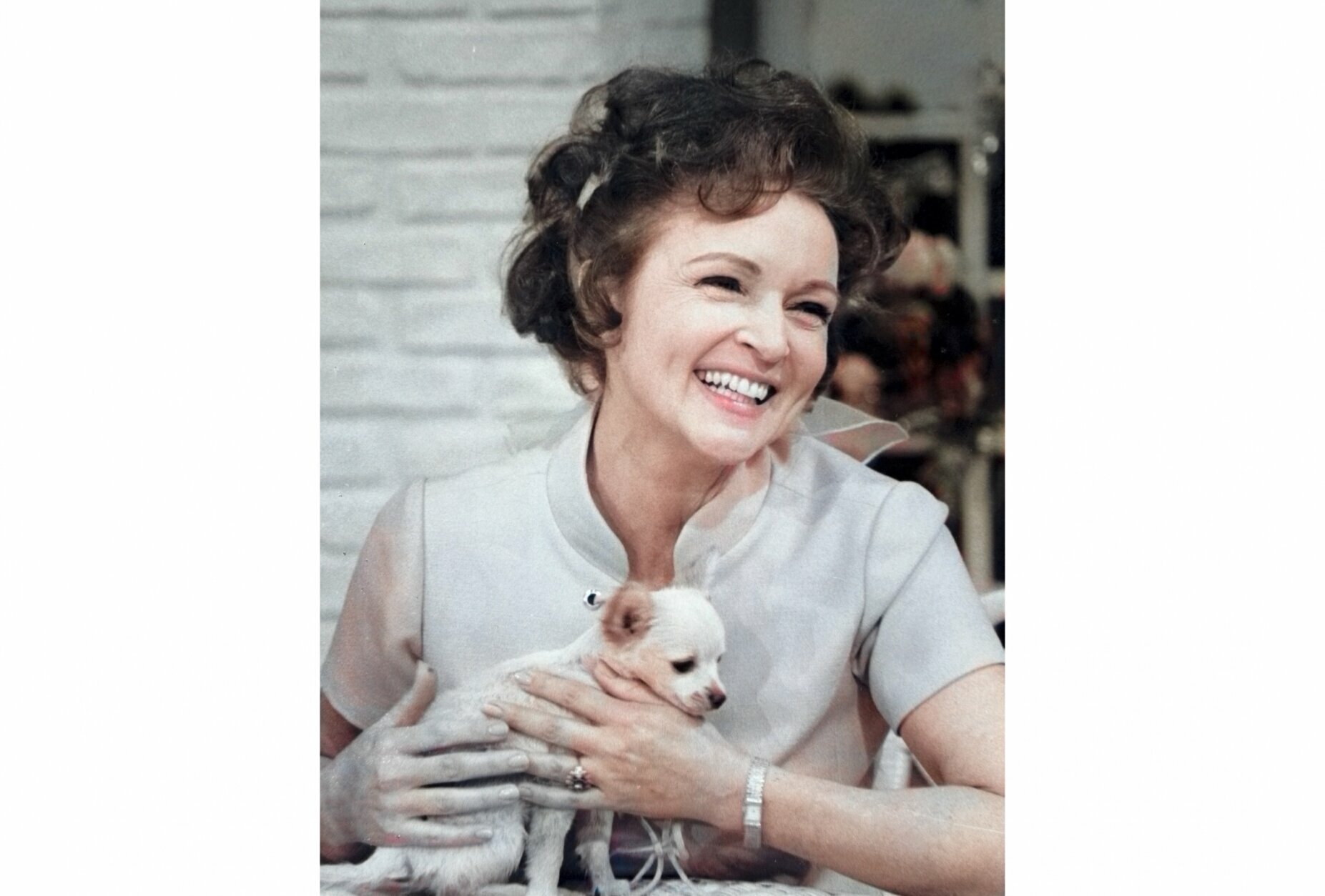 <p>This colorized image released by Margate And Chandler, Inc. shows actress and animal activist Betty White with a puppy from her 1970s series “The Pet Set.&#8221; The restored 39-episode series, renamed &#8220;Betty White’s Pet Set,” features celebrity guests Mary Tyler Moore, Carol Burnett, Burt Reynolds, James Brolin and Della Reese. (Margate And Chandler, Inc. via AP)</p>
