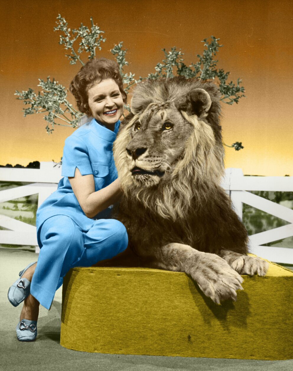 <p>This colorized image released by Margate And Chandler, Inc. shows actress and animal activist Betty White with a lion from her 1970s series “The Pet Set.&#8221; The restored 39-episode series, renamed &#8220;Betty White’s Pet Set,” features celebrity guests Mary Tyler Moore, Carol Burnett, Burt Reynolds, James Brolin and Della Reese. (Margate And Chandler, Inc. via AP)</p>
