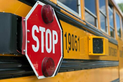 ‘Oh deer’: Wild animal crashes through Va. school bus windshield