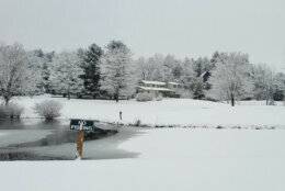 Fallen snow beside a pond.
