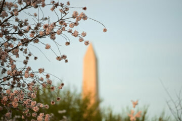 The Washington Monument in the distance on March 30, 2021 in Washington, DC