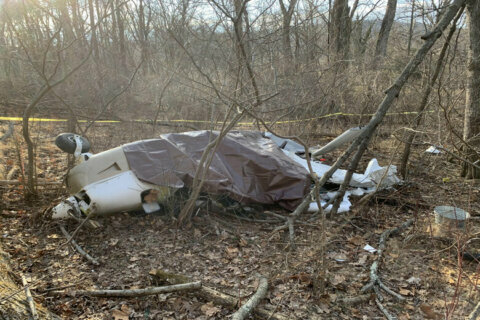 Pilot identified in fatal Loudoun Co. plane crash
