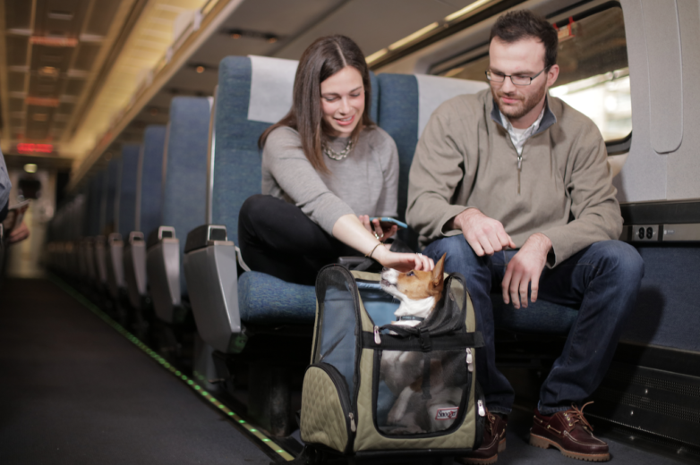 what amtrak trains allow dogs