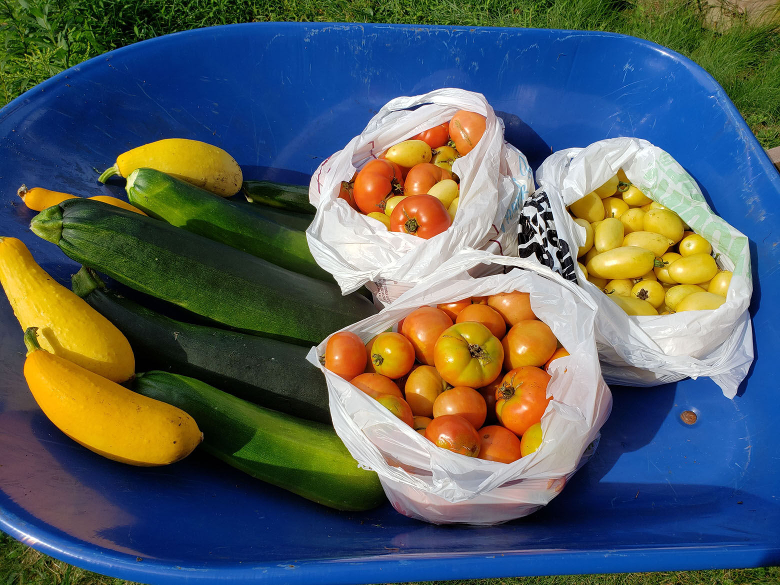 <p>The ampleharvest.org food insecurity program, Grow More Feed More, connects communities with food donations across the U.S.</p>
<p>&nbsp;</p>
