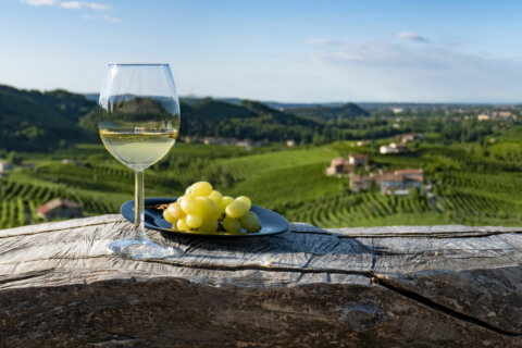 Wine of the Week: Italian values