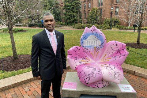 Cherry Blossom Festival brings Art In Bloom around DC