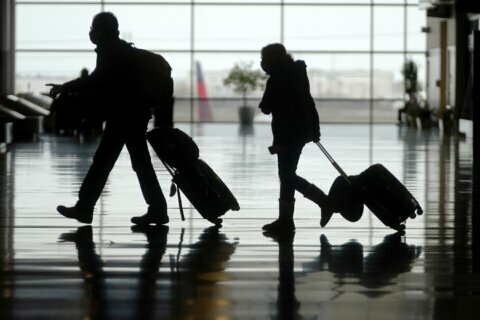US air travel rises to highest levels yet since pandemic hit